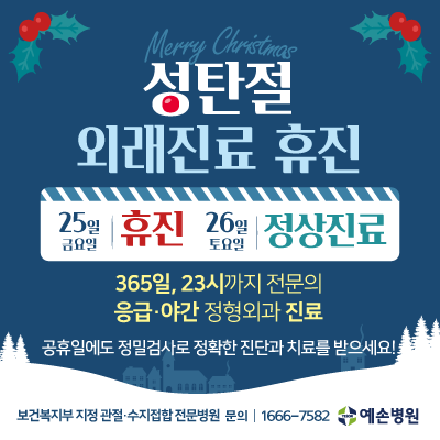 성탄절-팝업창_201211.png